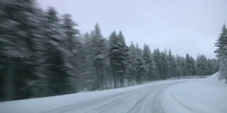 汽车在冬季森林道路上