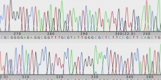 DNA序列。正面的看法。White-Cyan。