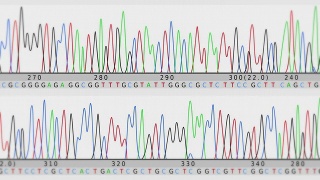 DNA序列。正面的看法。White-Cyan。视频素材模板下载