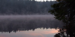 日出与飘浮的雾透过树木在山上湖