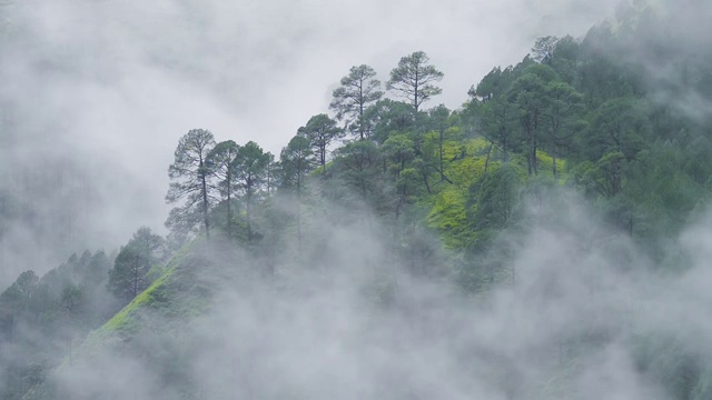 雾滚滚流过群山