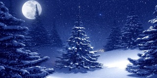 温暖的蓝色冬季景观装饰圣诞树。