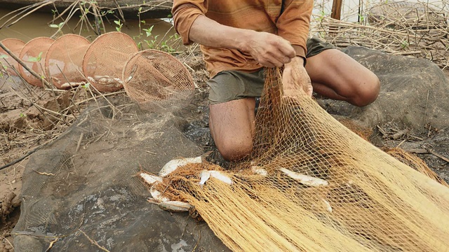 渔夫从他的渔网中取出被缠住的鱼，并把它放在河岸的网箱里