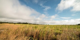 基拉韦厄火山口国家公园时间流逝