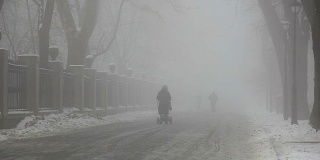 雾气蒙蒙的冬季公园里的公园小巷