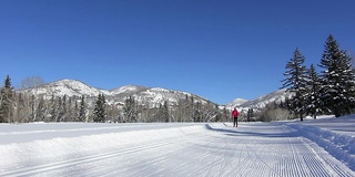 女子越野滑雪在冬季运动HD