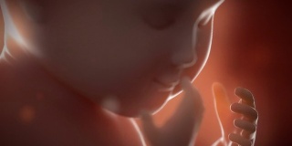 胎儿婴儿移动妊娠概念