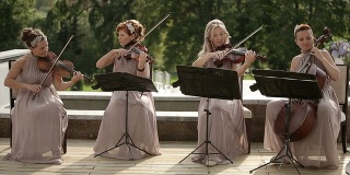 音乐的四方。三位小提琴手和大提琴手演奏音乐。