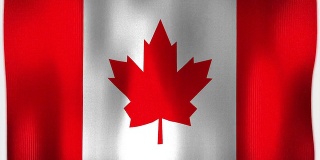 3D动画的加拿大加拿大整个旗帜画布纹理
