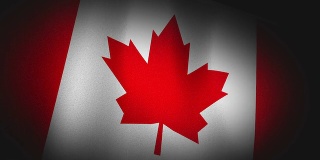 3D动画加拿大国旗特写画布纹理