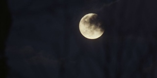 特写:乌云遮住了满月