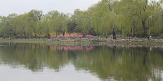 北京的圆明园