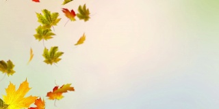 色彩斑斓的秋天