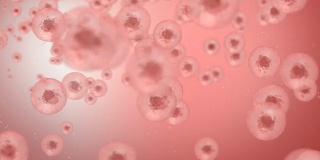 微世界-细胞流动和增殖
