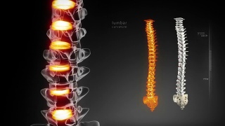 人体脊柱医学扫描视频素材模板下载