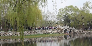 在中国花园里散步的人们