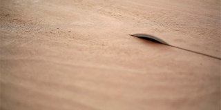 木工。切割木板的圆锯