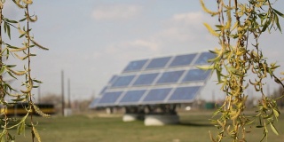 柳树枝条和太阳能电池板。
