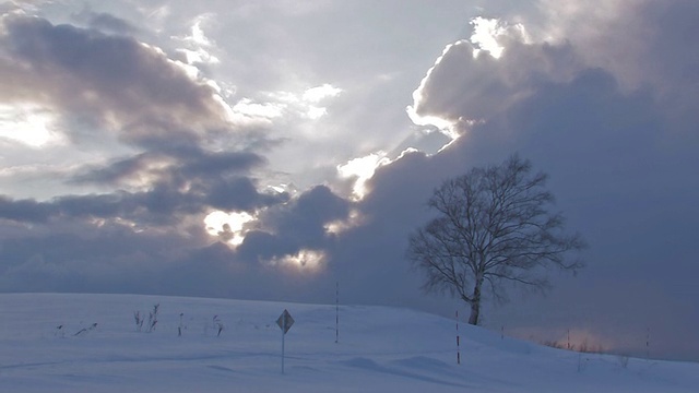 日本北海道，日落时分，北北的雪地