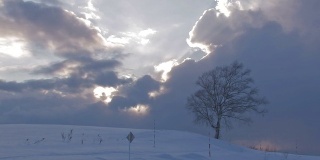 日本北海道，日落时分，北北的雪地