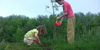女孩在挖土，男孩用桶浇植物