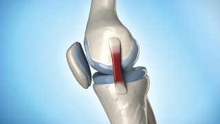 膝盖医学解剖循环视频素材模板下载