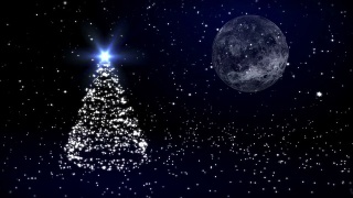 月亮和雪映衬下的圣诞皮草树视频素材模板下载