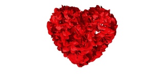 玫瑰花瓣形成一颗心