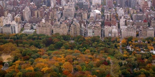 空中拍摄的秋季中央公园