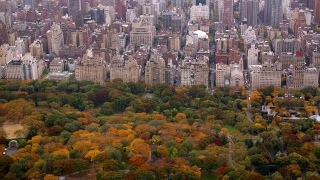 空中拍摄的秋季中央公园视频素材模板下载