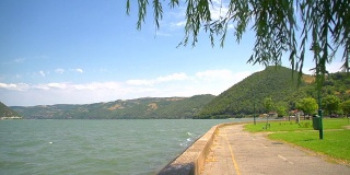 多瑙河的夏天有柳树和风