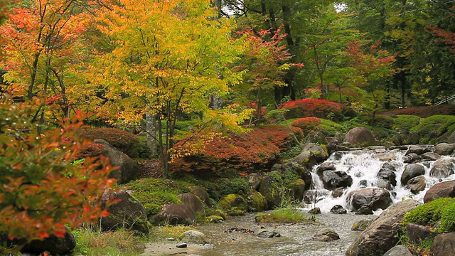 山区河流。