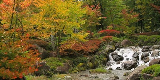 山区河流。