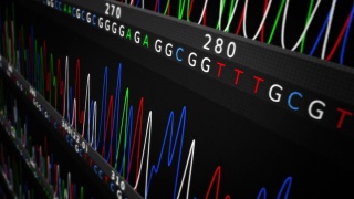 DNA序列。侧面图。穿着蓝黑色。视频素材模板下载