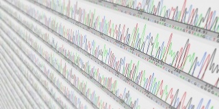 DNA序列。缩小。White-Cyan。