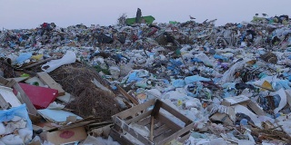 朵莉:堆在垃圾填埋场的成堆的垃圾