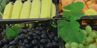 朵莉:卖新鲜水果和蔬菜的街市摊位