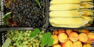 朵莉:卖新鲜水果和蔬菜的街市摊位
