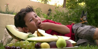 小男孩在户外野餐吃水果