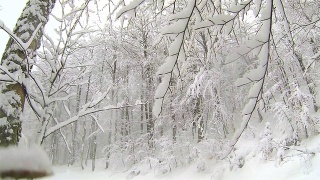 大自然中有大雪视频素材模板下载