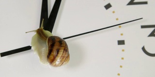 钟面上的蜗牛