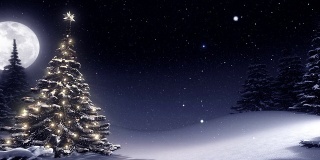 圣诞树的夜晚与文字空间。