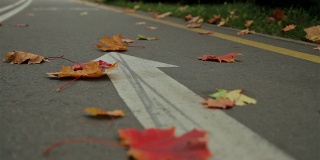 路上有自行车箭头标志。秋天。滑块拍摄