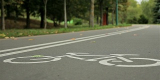 路上有自行车标志。秋天。