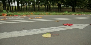 自行车箭头标志在路上，骑自行车的。秋天。滑块拍摄