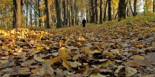 人走小路，秋天。近距离拍摄，摄影车