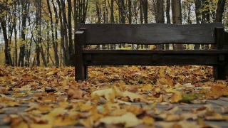 长椅上,秋天。多莉拍摄视频素材模板下载