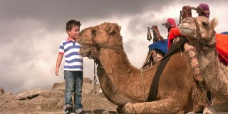 骑骆驼的男孩