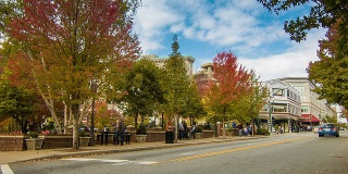 阿什维尔市中心，北卡罗来纳州的普里查德公园在秋天