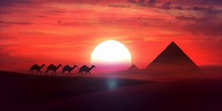 骆驼火车在夕阳中穿越沙漠。高清